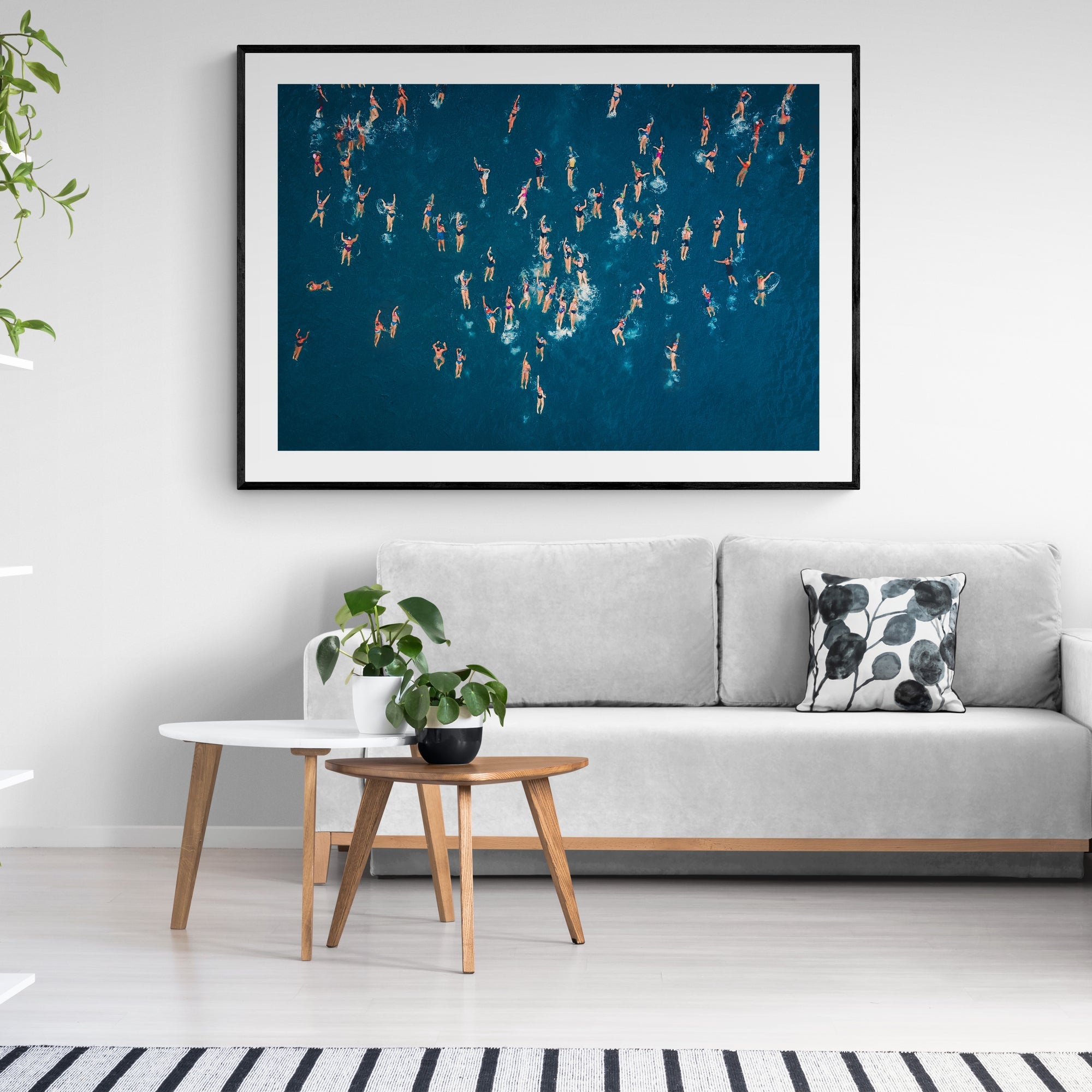 The Swimmers - White Border