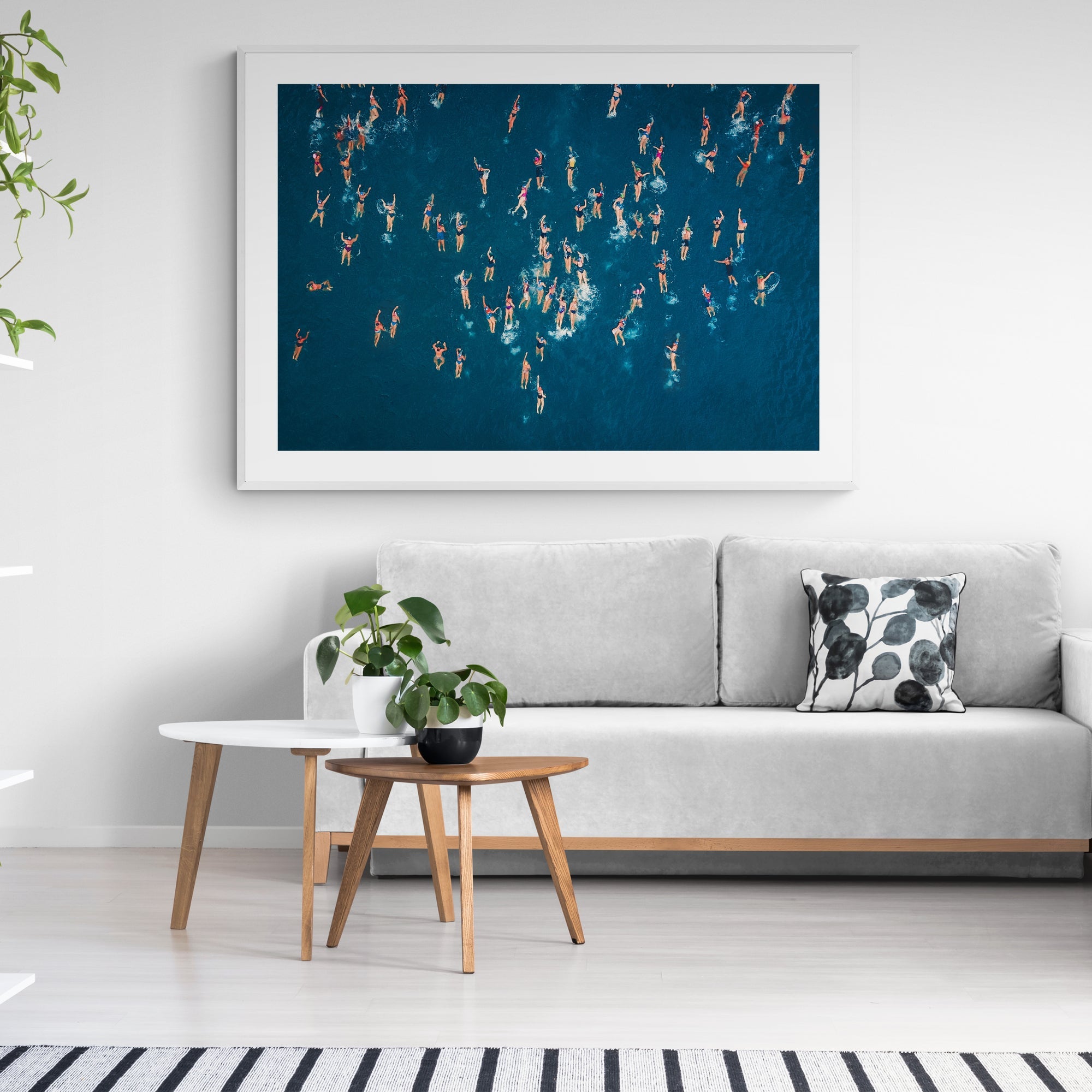 The Swimmers - White Border